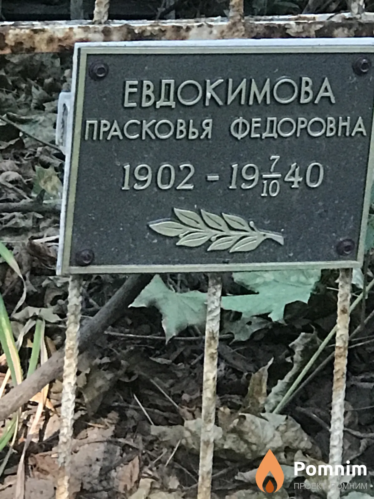 Евдокимова Прасковья Федоровна