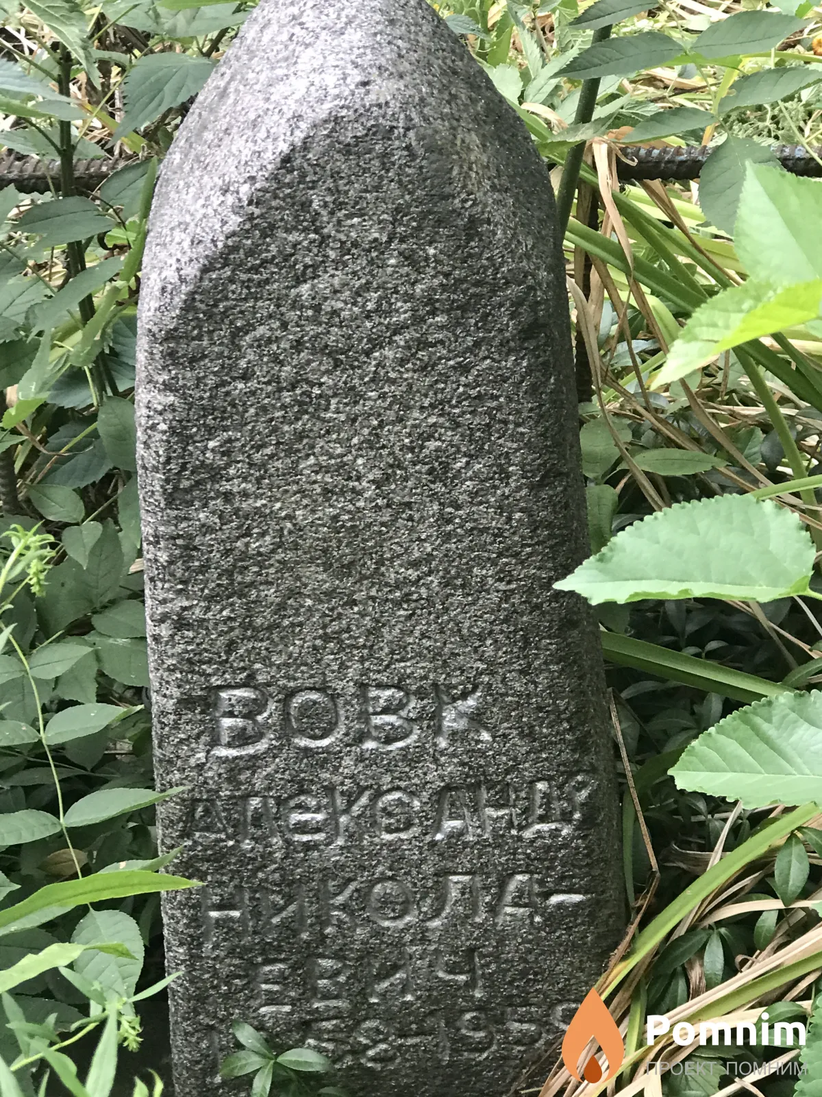 Вовк Александр Николаевич
