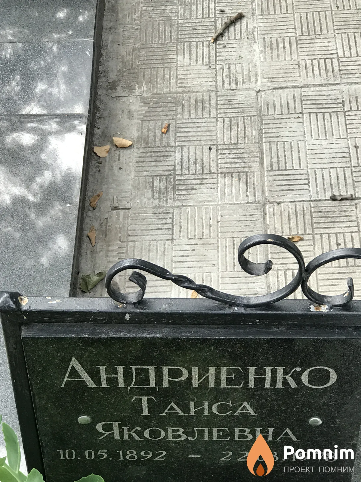 Андриенко Таиса Яковлевна