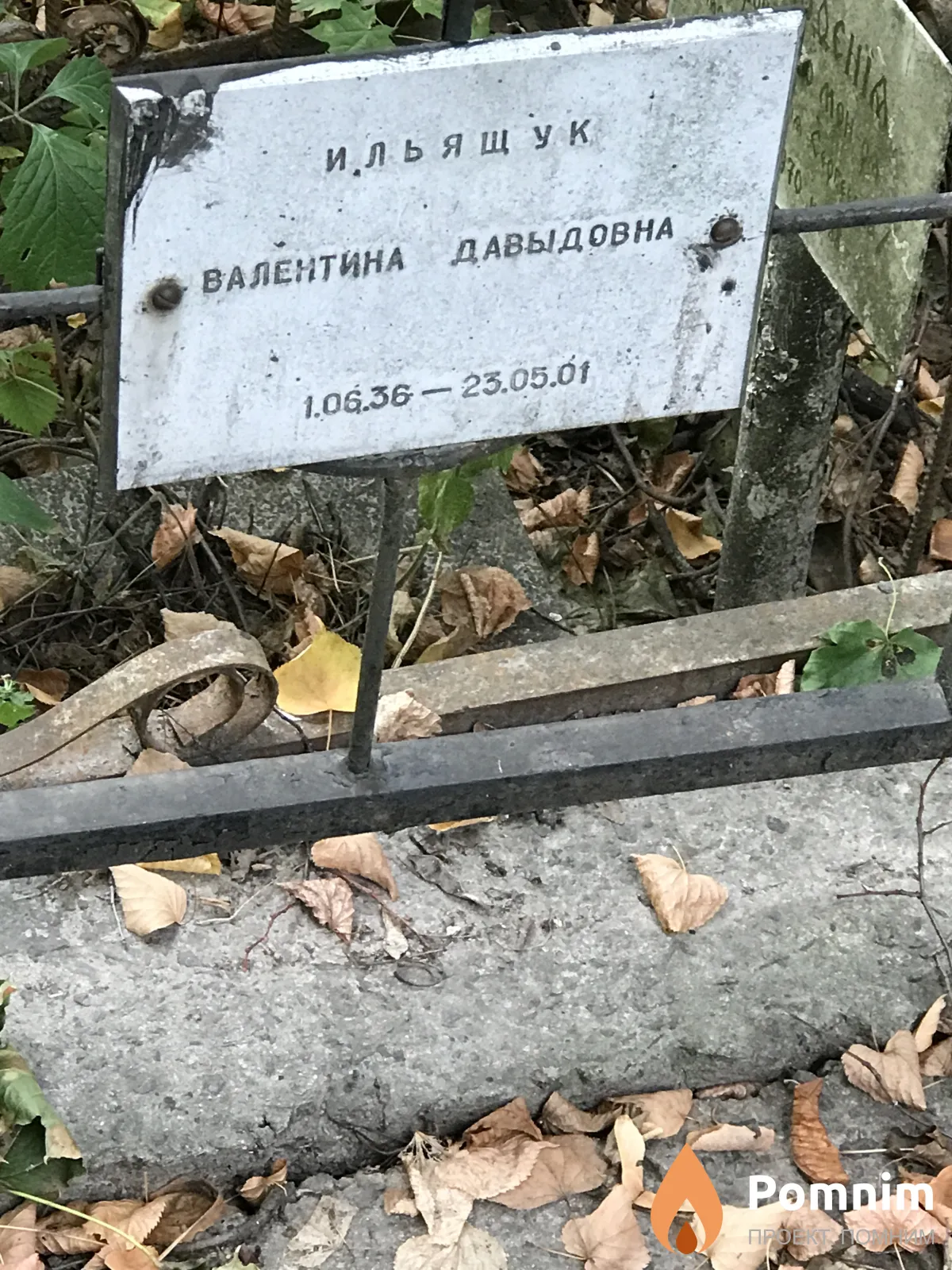Ильящук Валентина Давыдовна