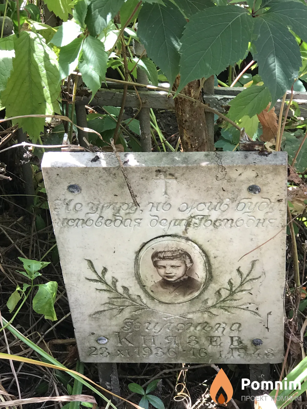 Князев Фил
