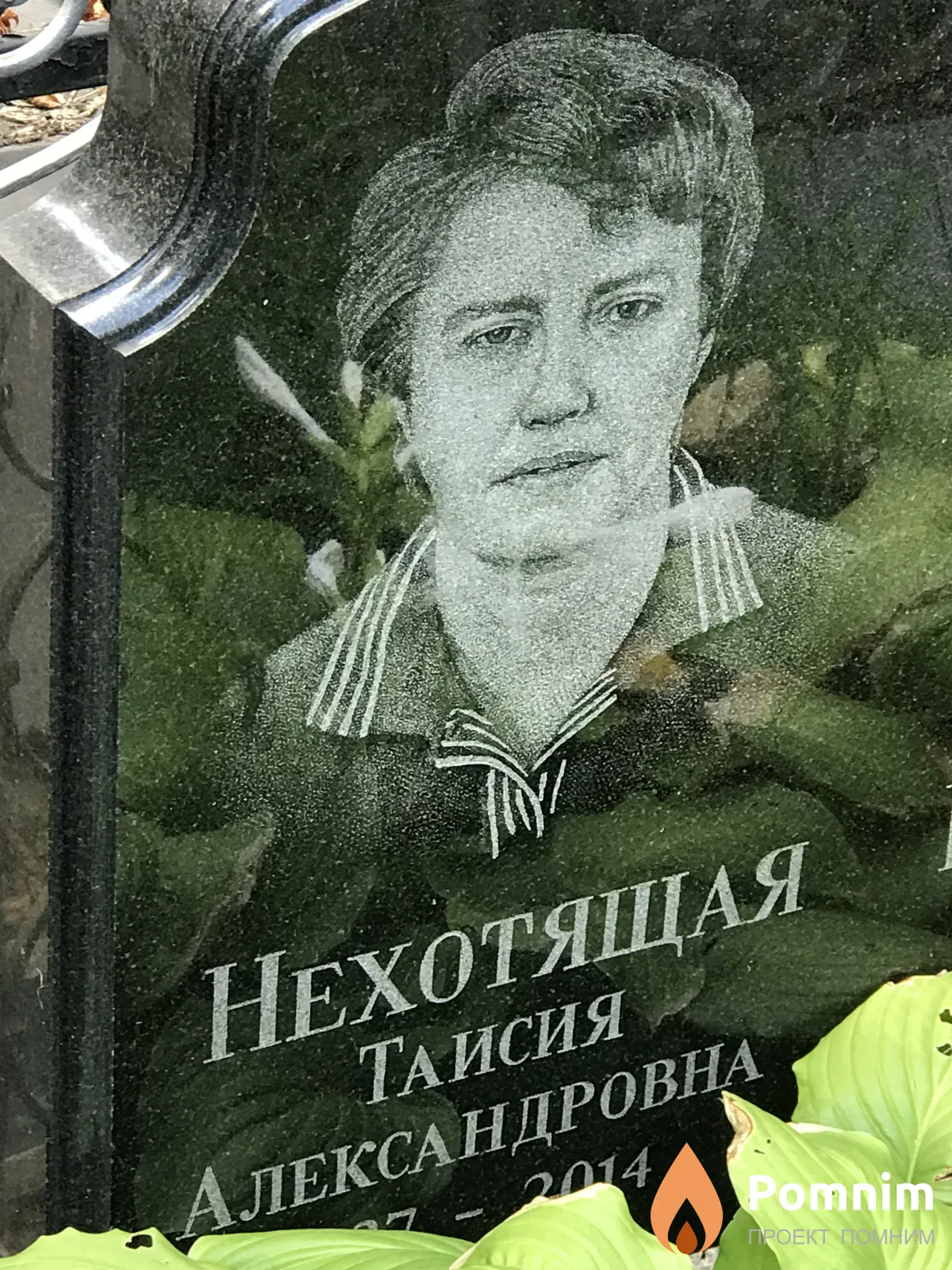 Нехотящая Таисия Александровна