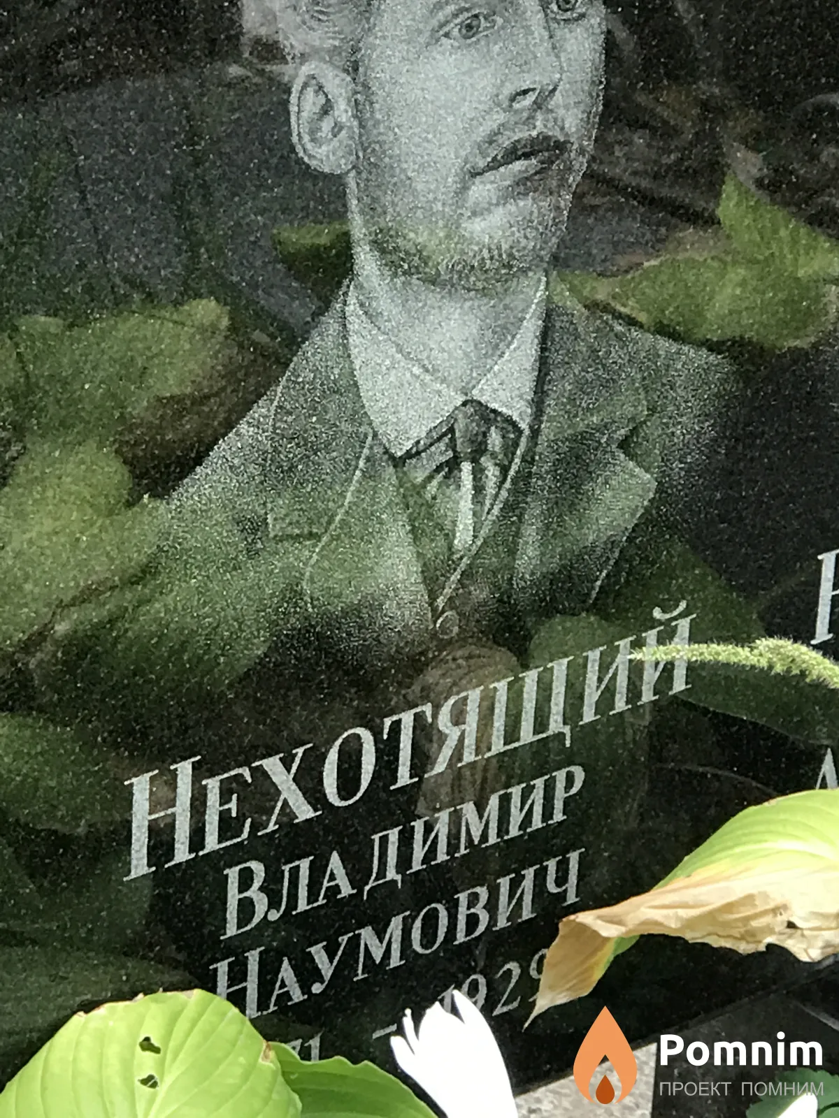 Нехотящий Владимир Наумович