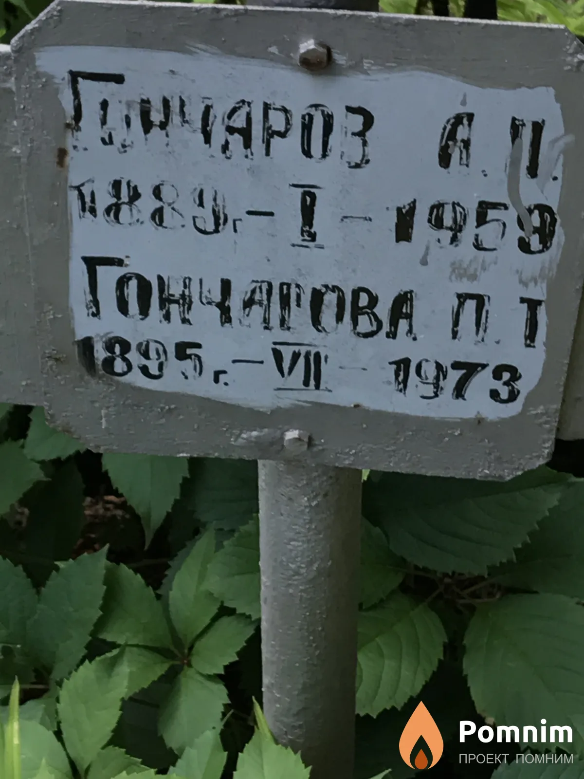 Гончаров А П