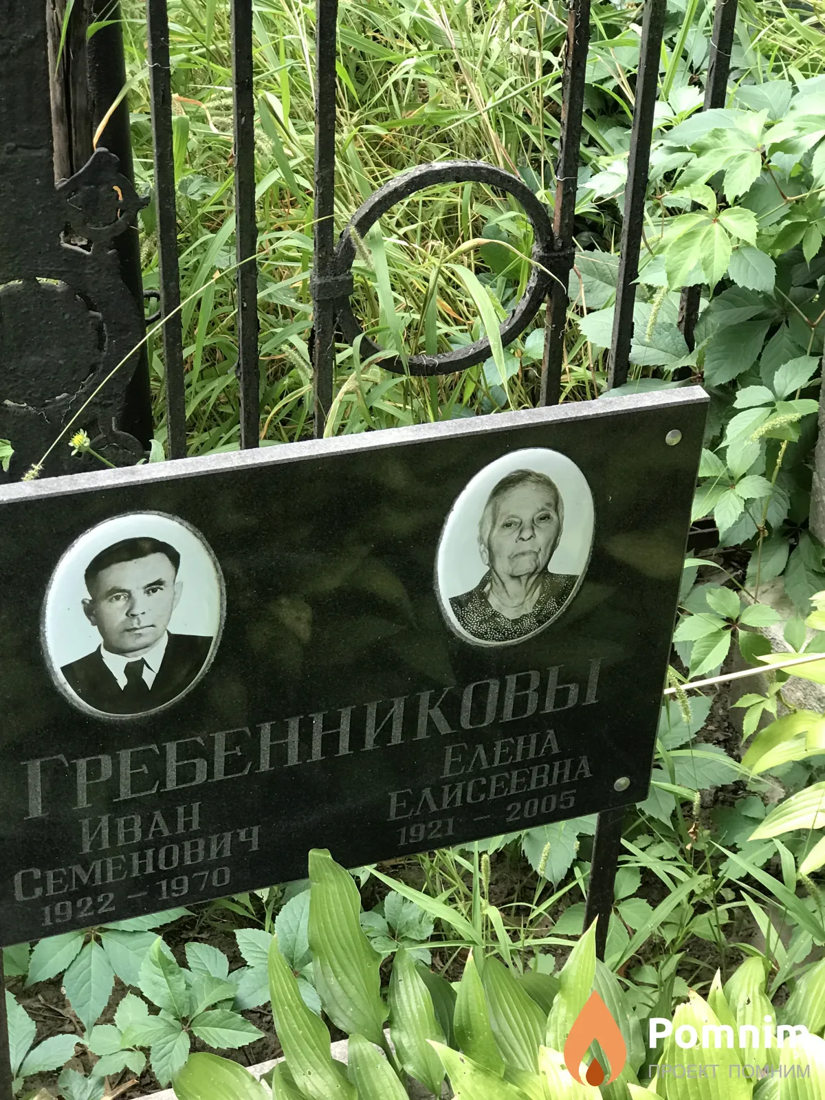 Гребенникова Елена Елисеевна