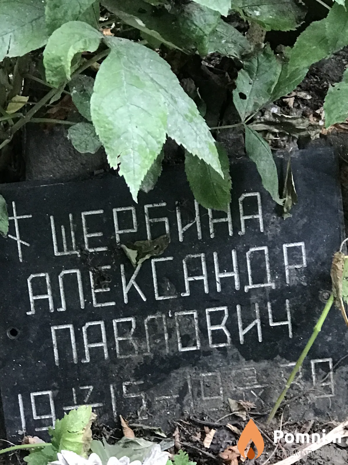Щербина Александр Павлович