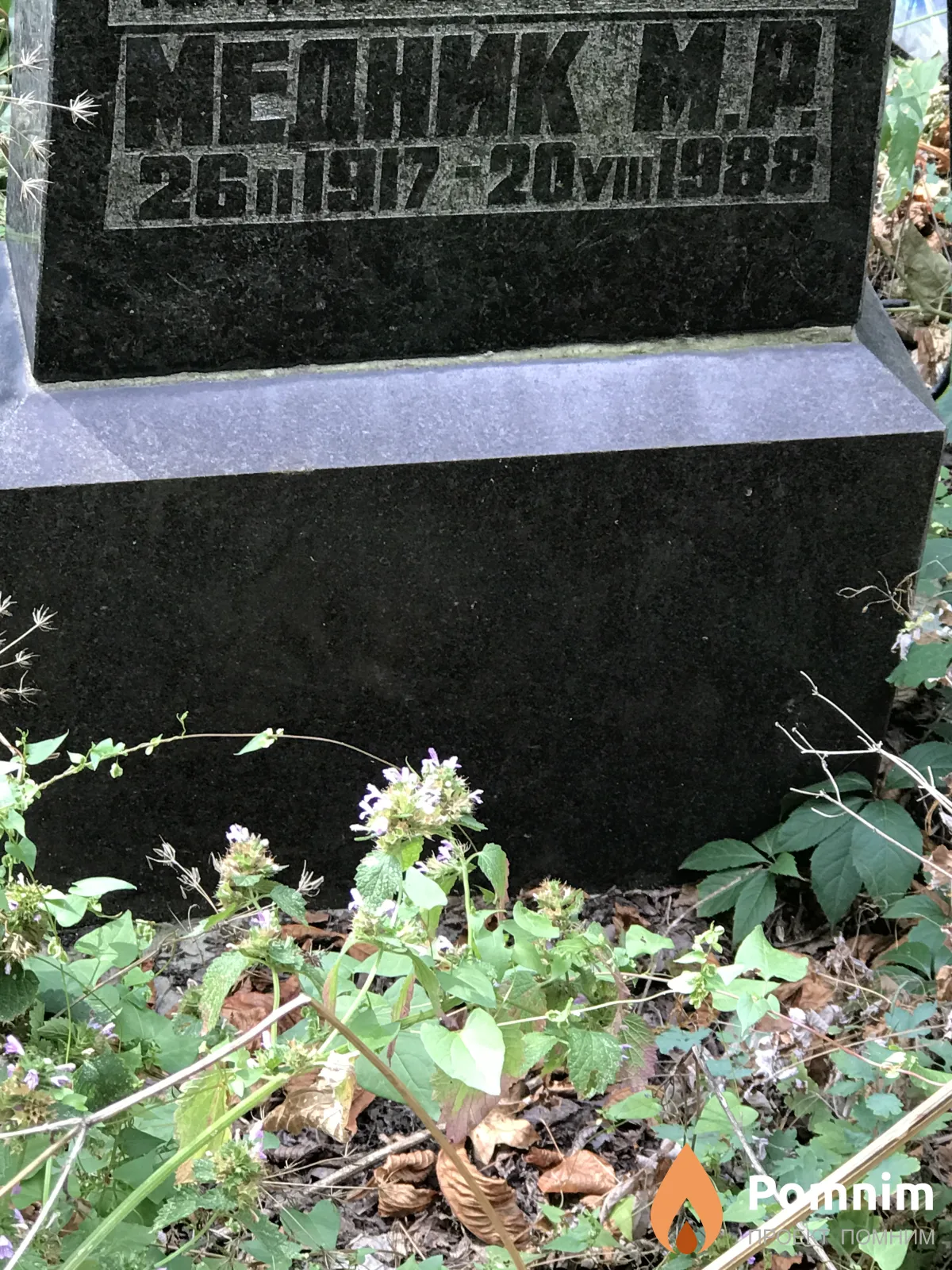 Медник М Р
