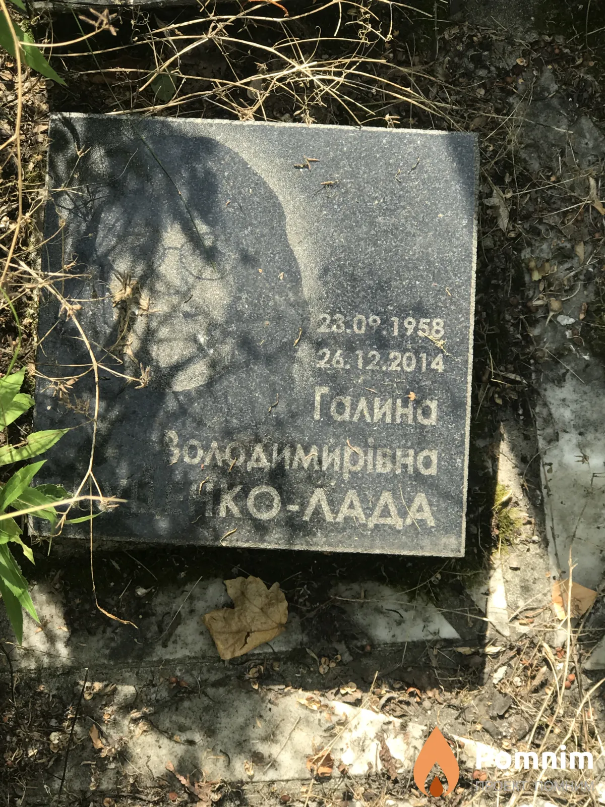 Лада Галина Володимирівна