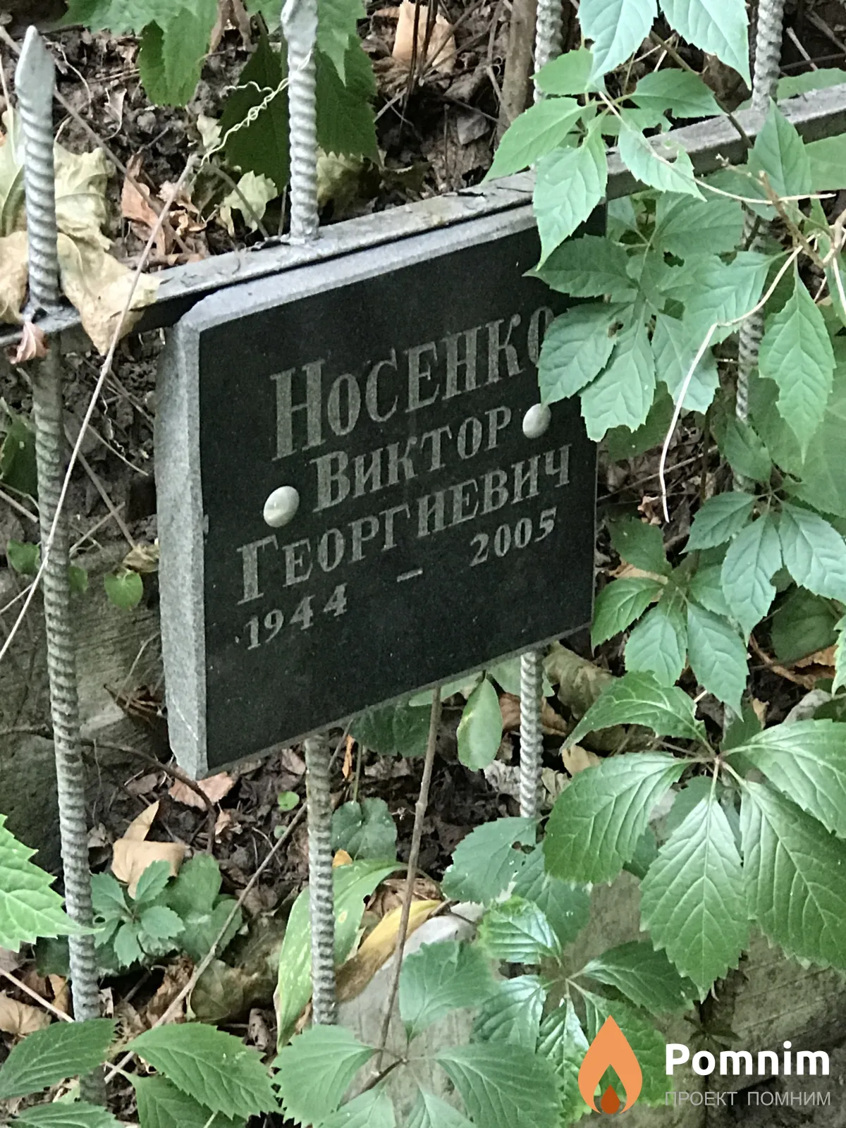 Носенко Виктор Георгиевич