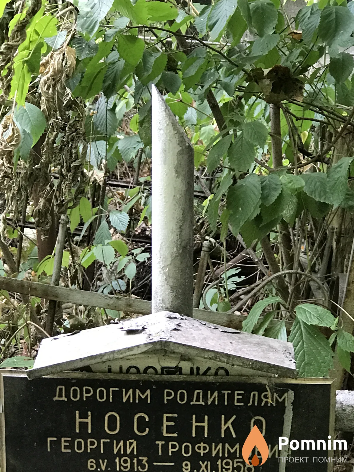 Носенко Георгий Тимофеевич