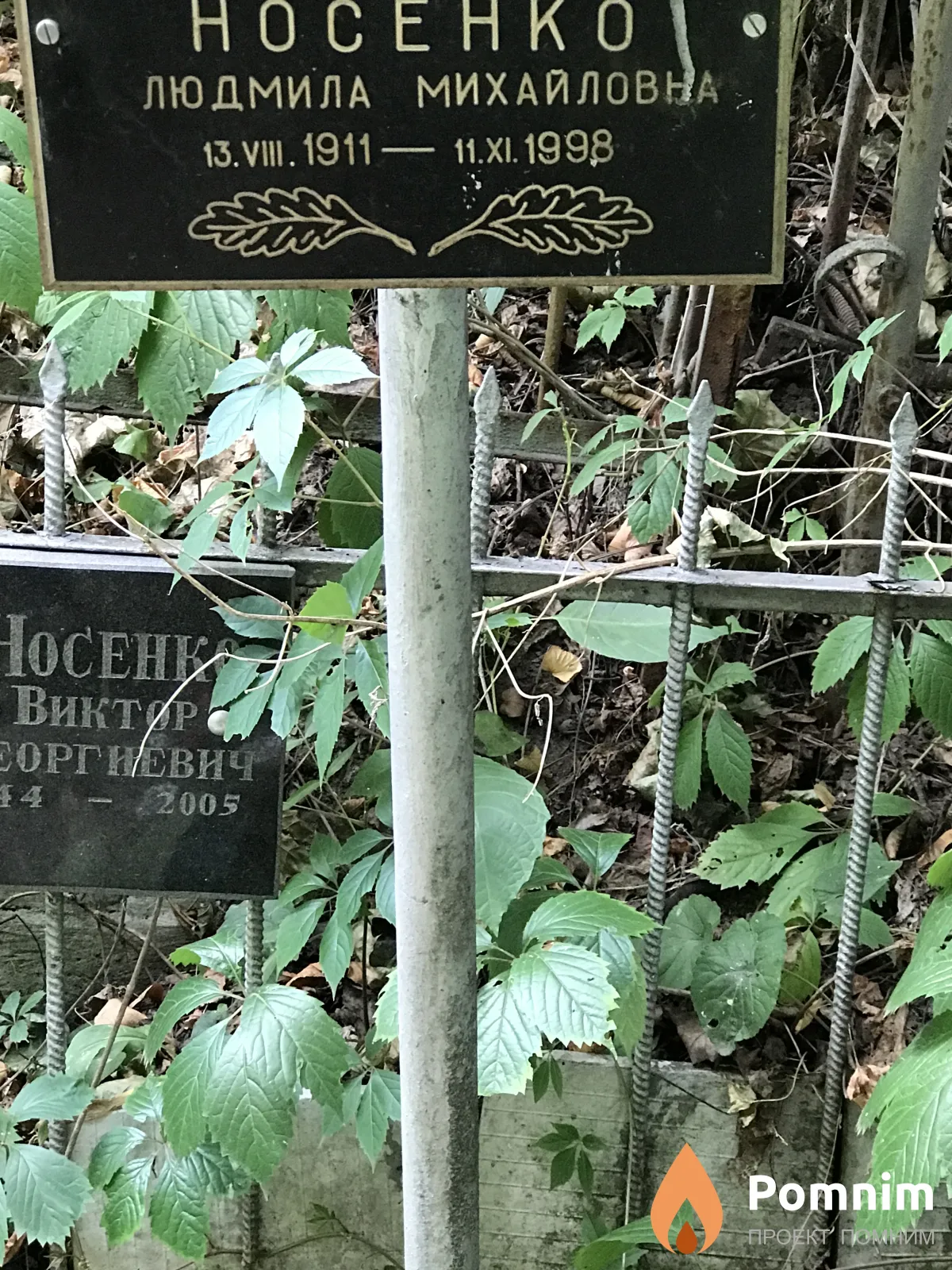 Носенко Людмила Михайловна