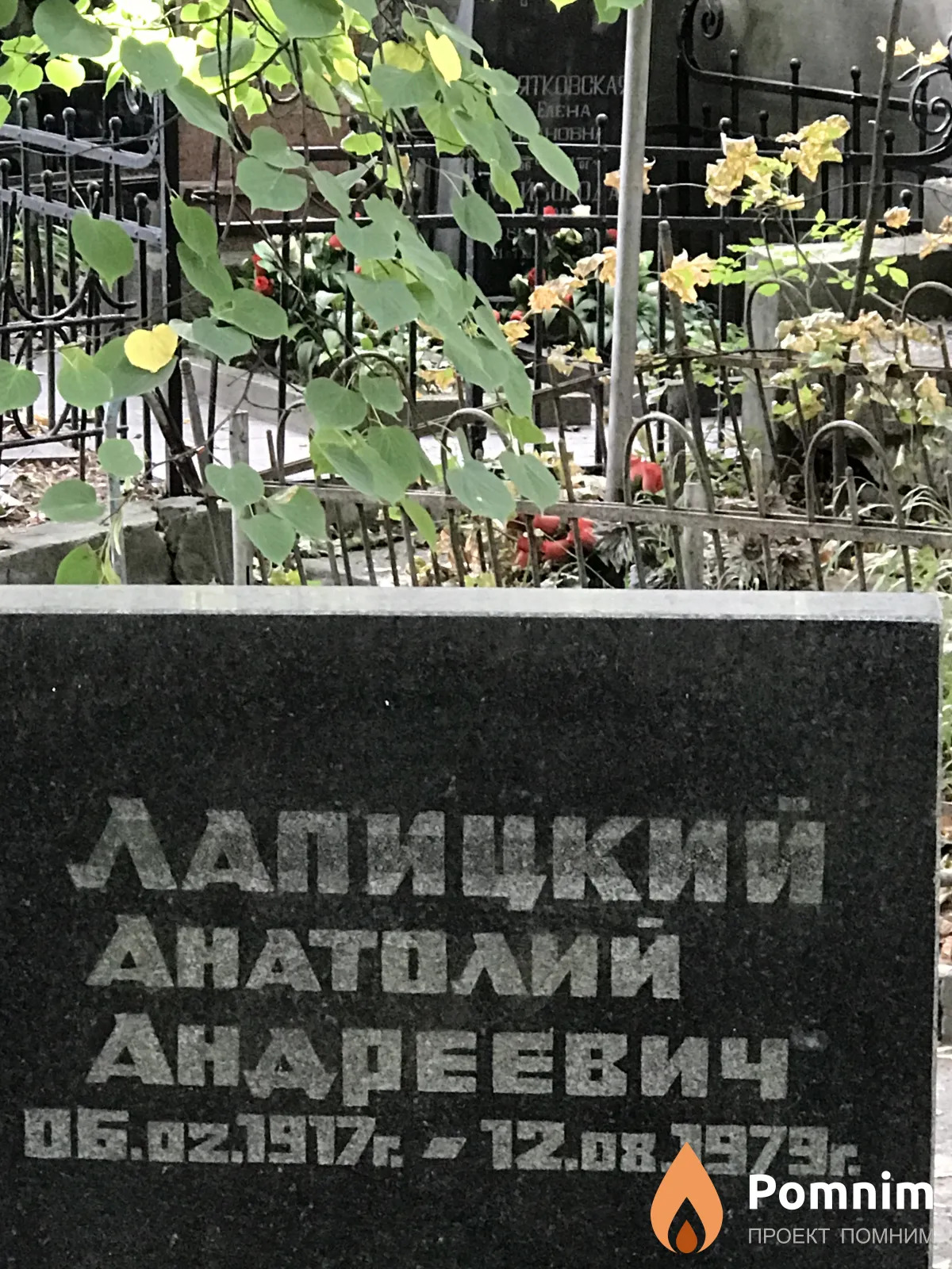 Лапицкий Анатолий Андреевич