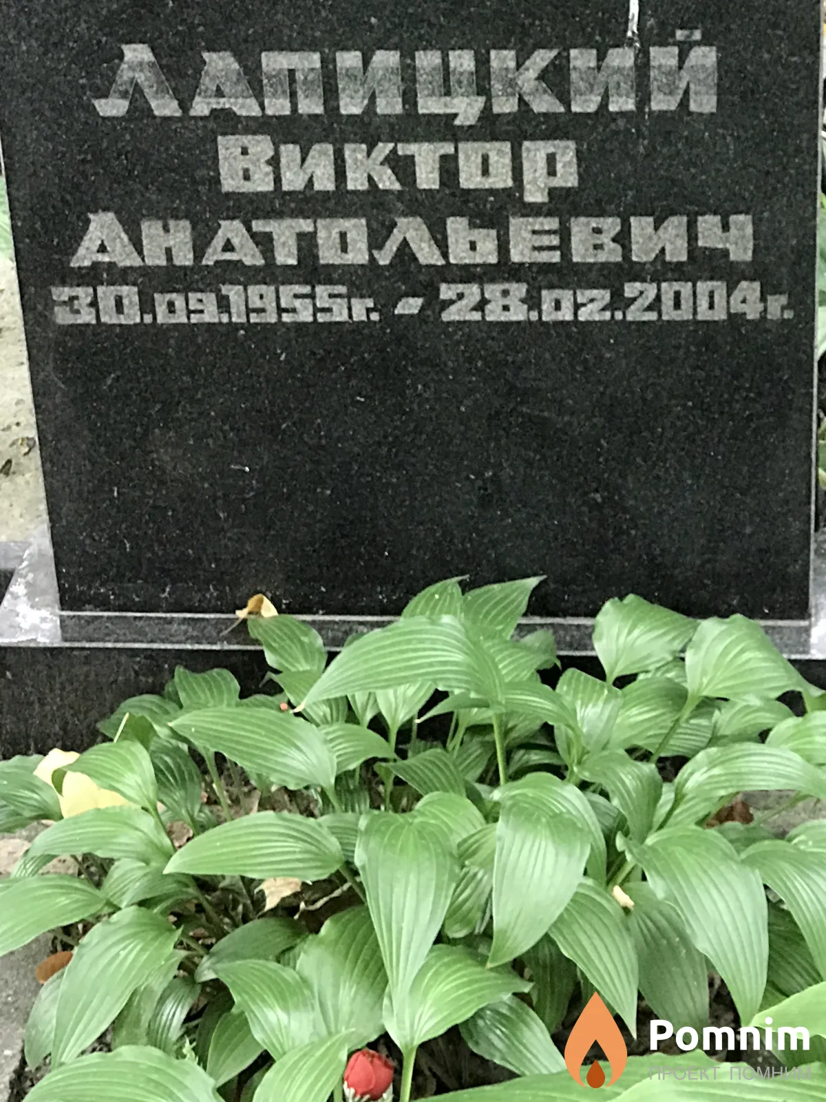 Лапицкий Виктор Анатольевич
