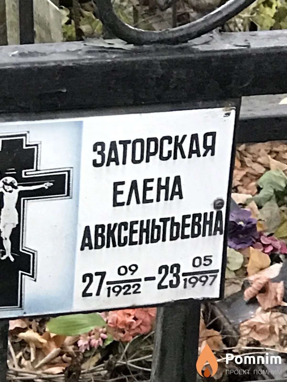 Заторская Елена Авксеньтьевна