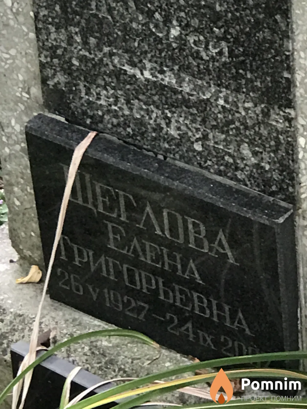 Щеглова Елена Григорьевна
