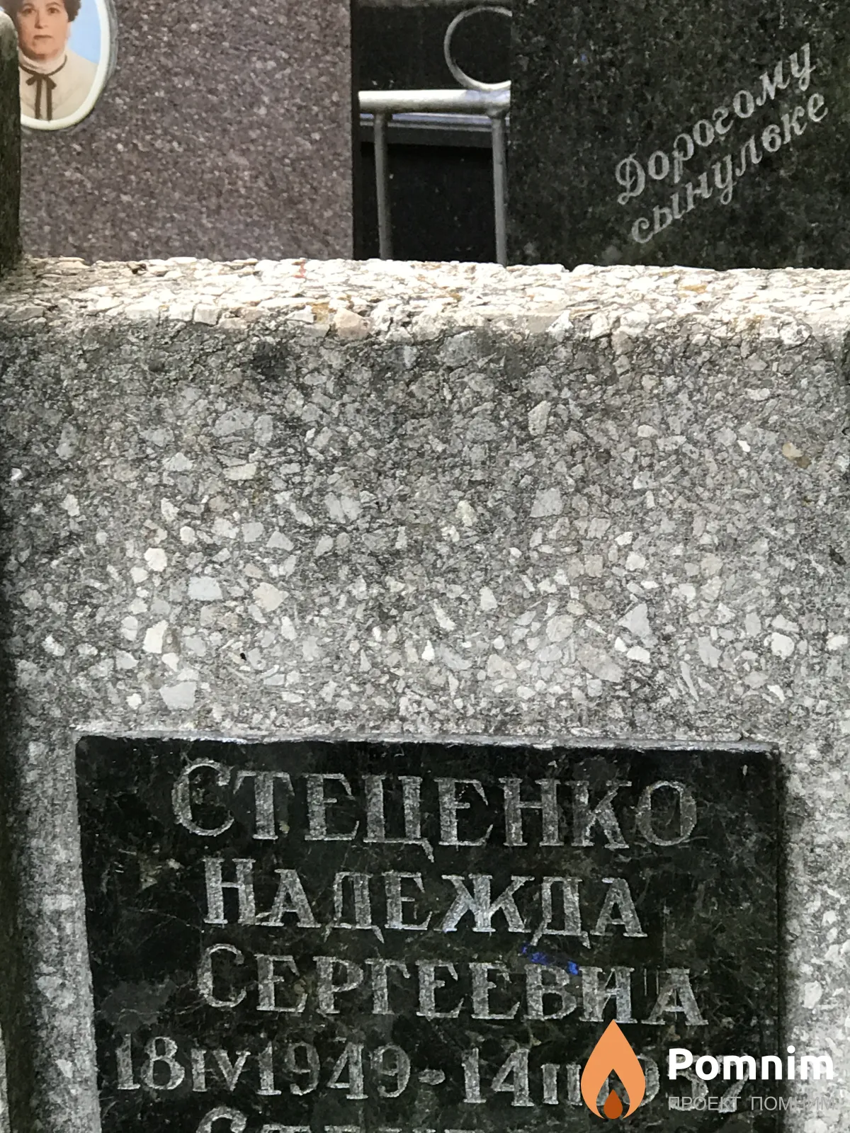 Стеценко Надежда Сергеевна