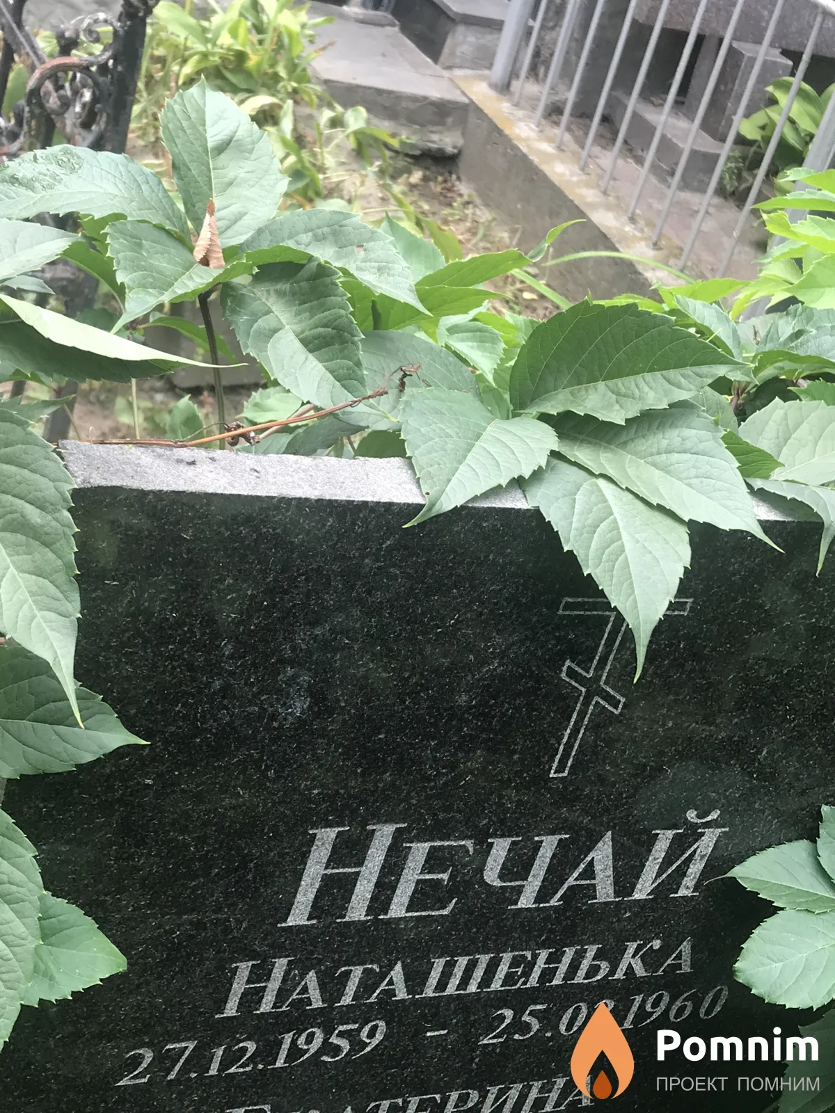 Нечай Наташа