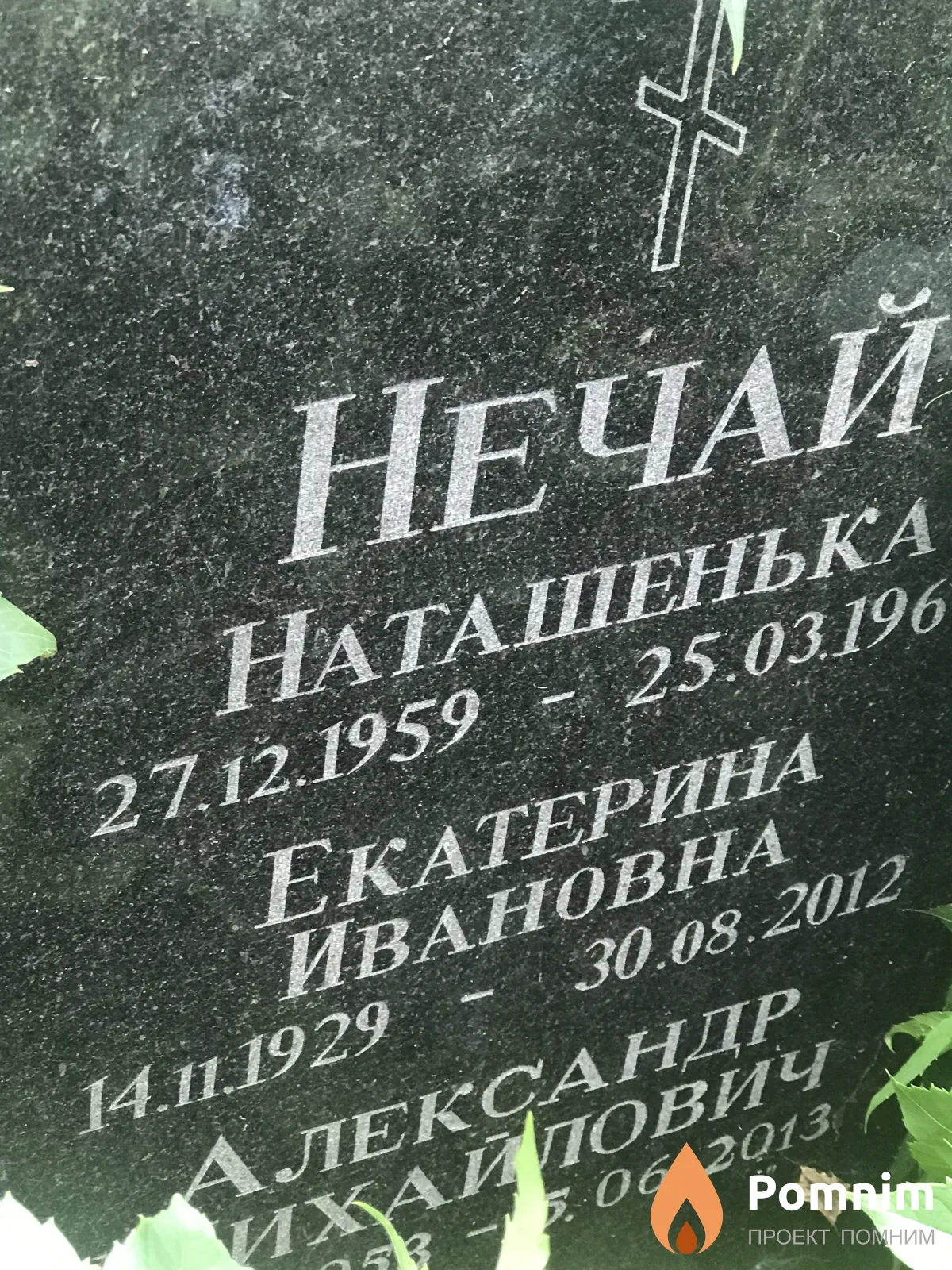 Нечай Екатерина Ивановна
