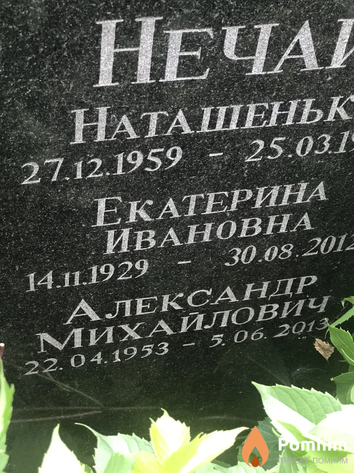 Нечай Александр Михайлович