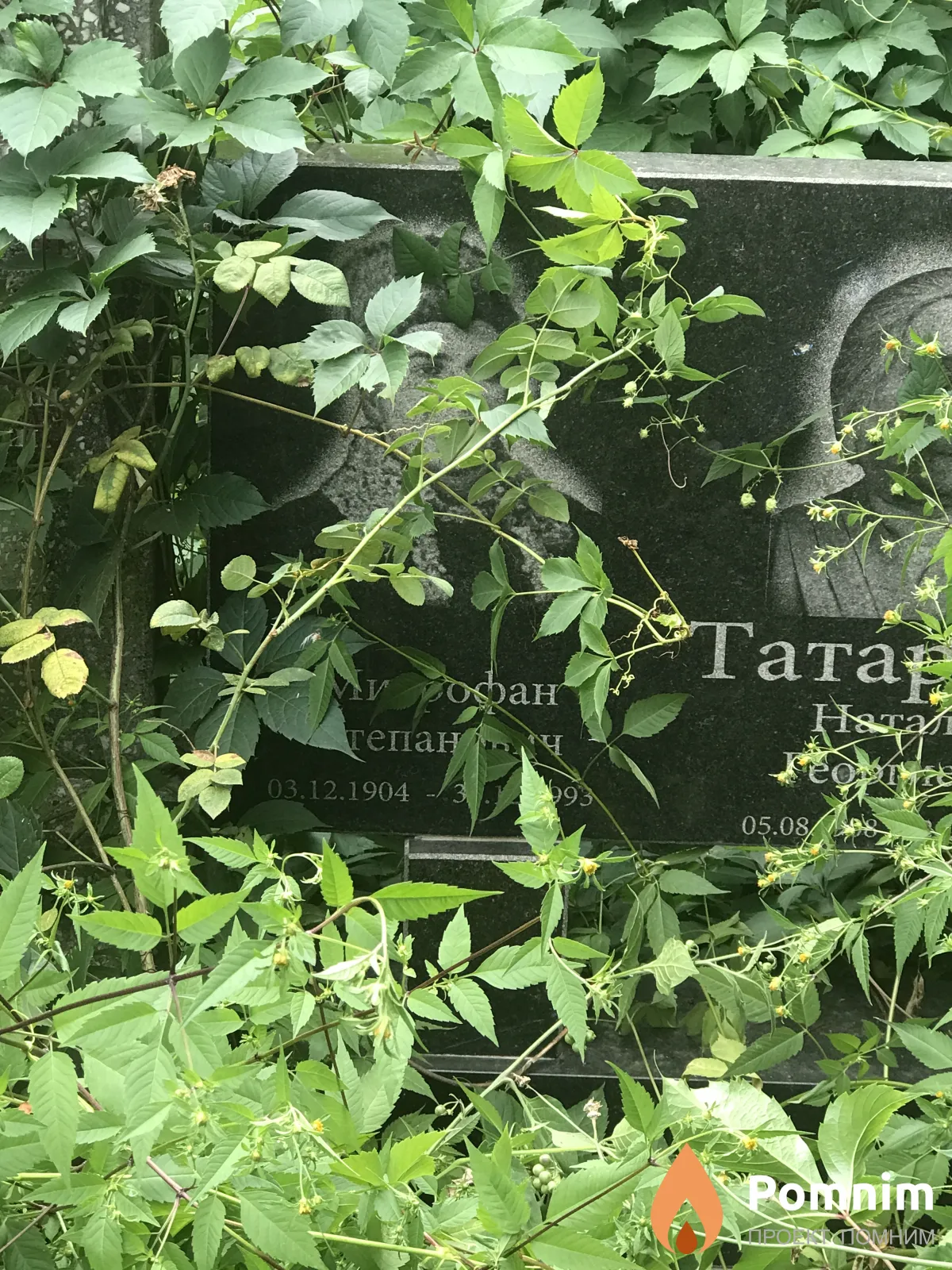 Татарчук Митрофан Степанович