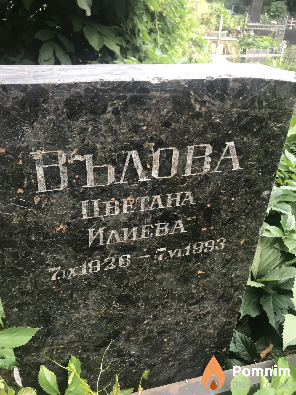 Вълова Цветана Илиева