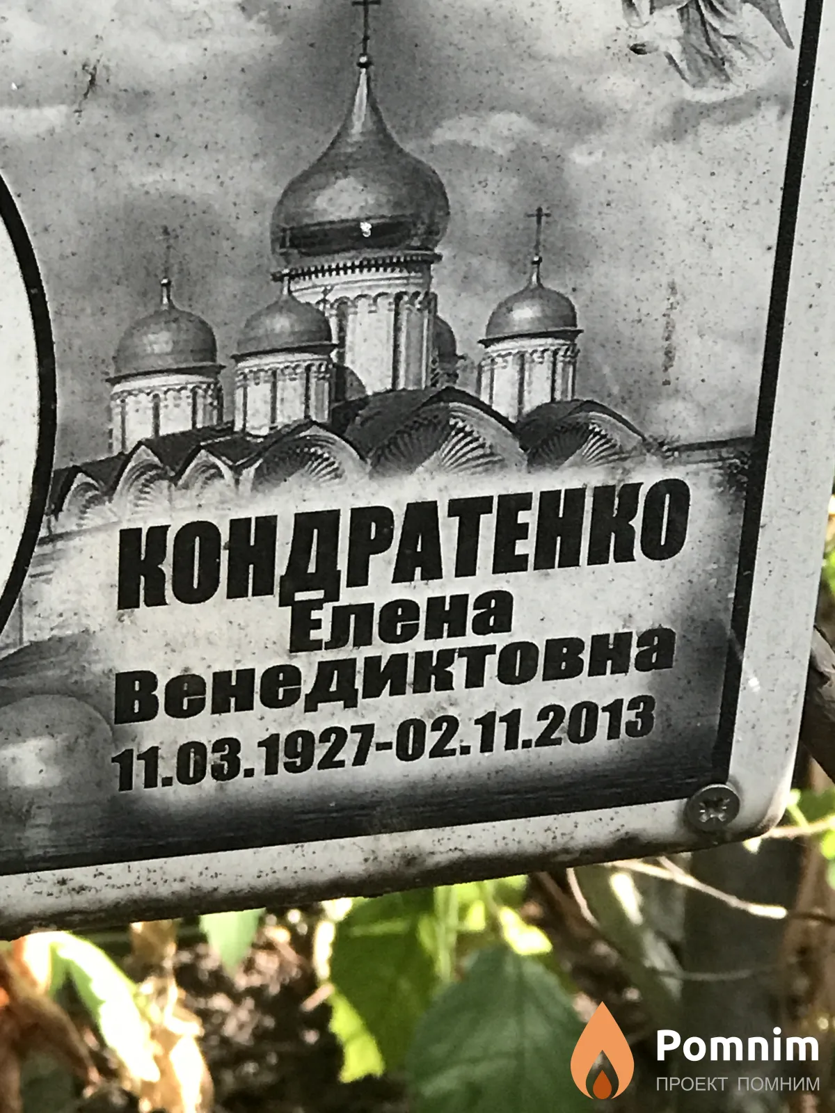 Кондратенко Елена Венедиктовна