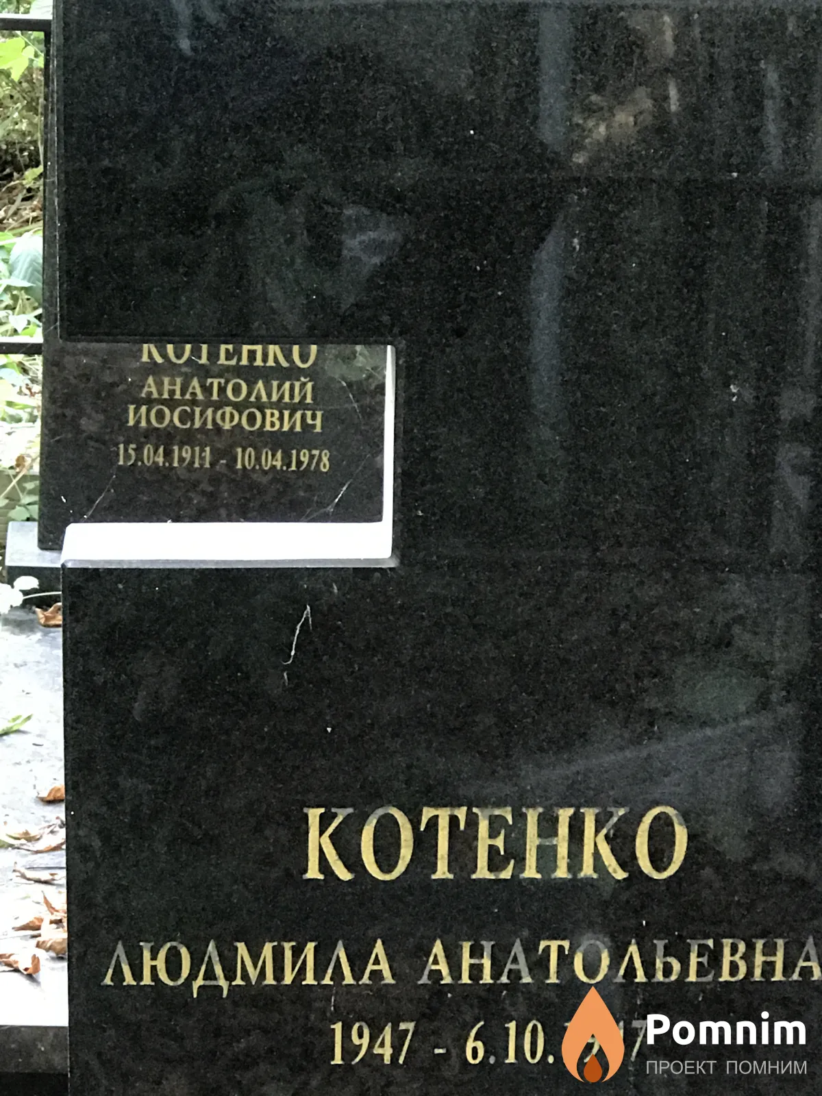 Котенко Людмила Анатольевна