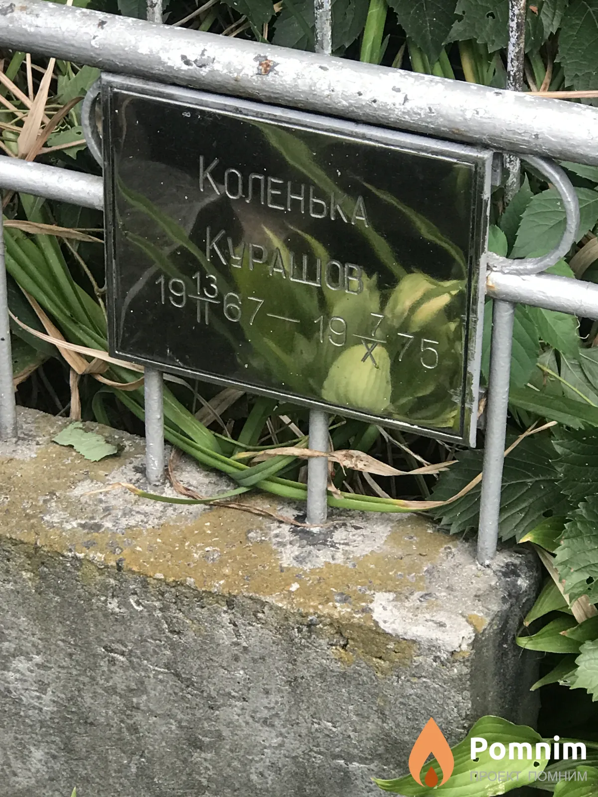 Курашов Колья