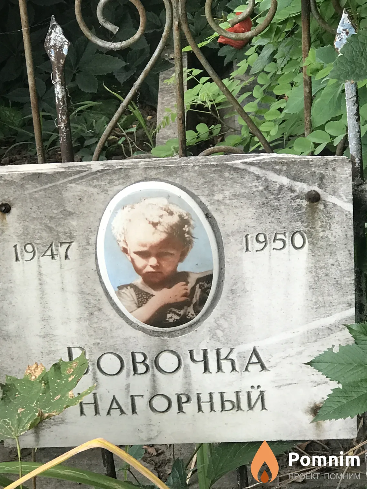Нагорный Вова