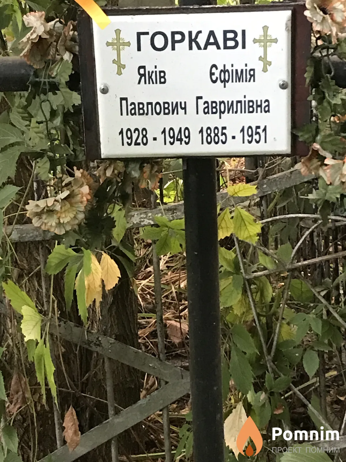 Горкави Ефимия Гавриловна
