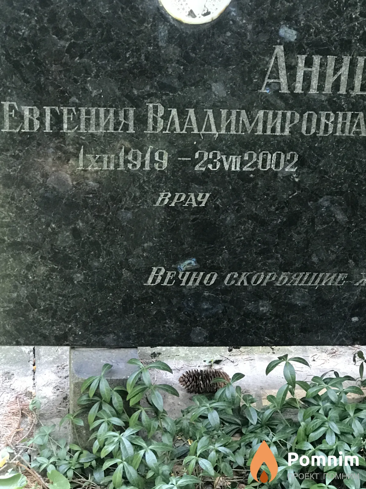 Анищенко Евгения Владимировна