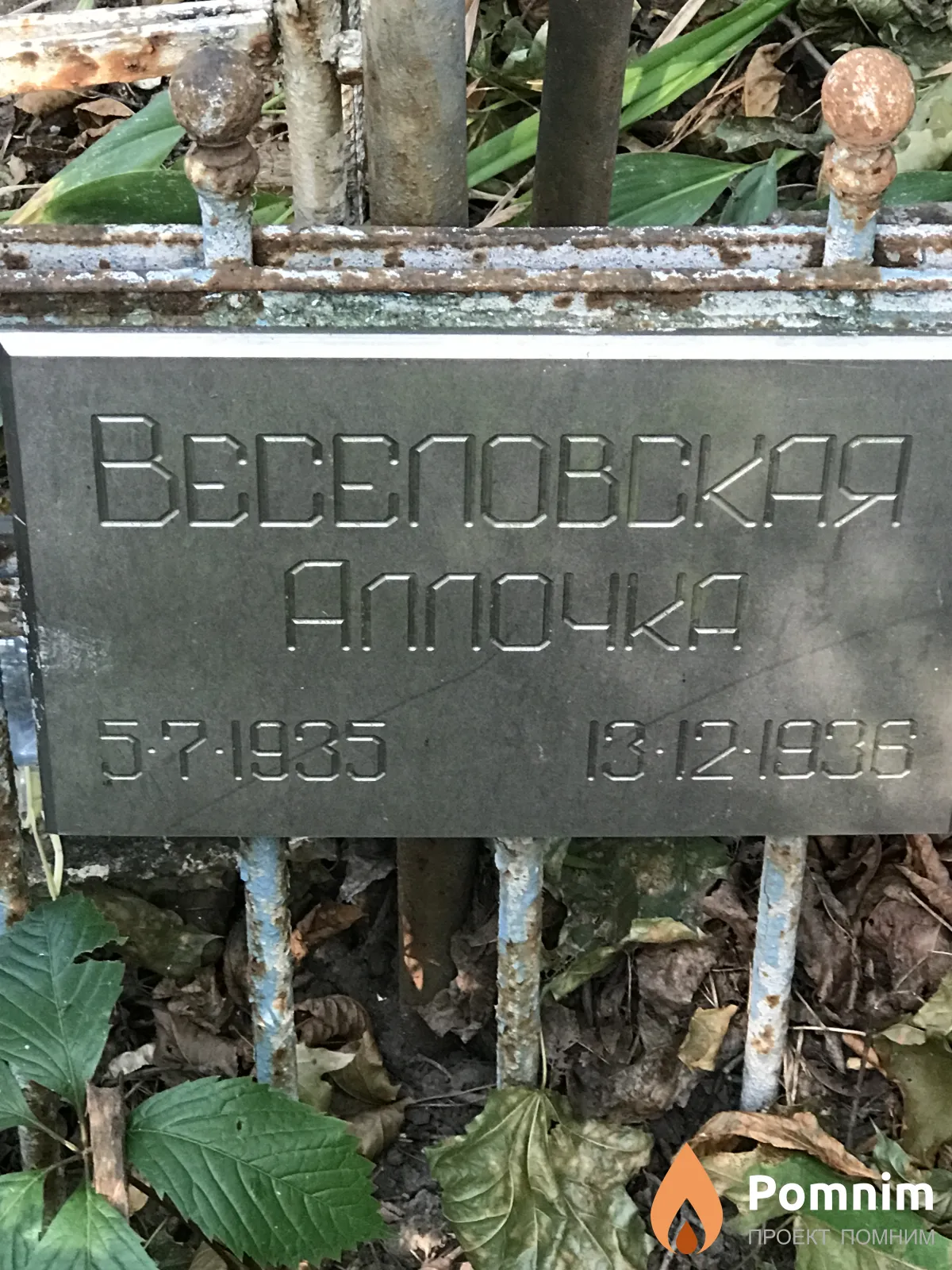 Веселовская Алла