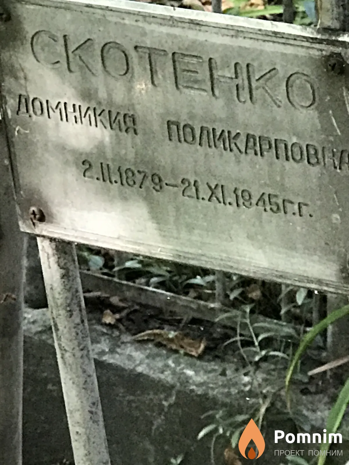 Скотенко Доминика Поликарповна