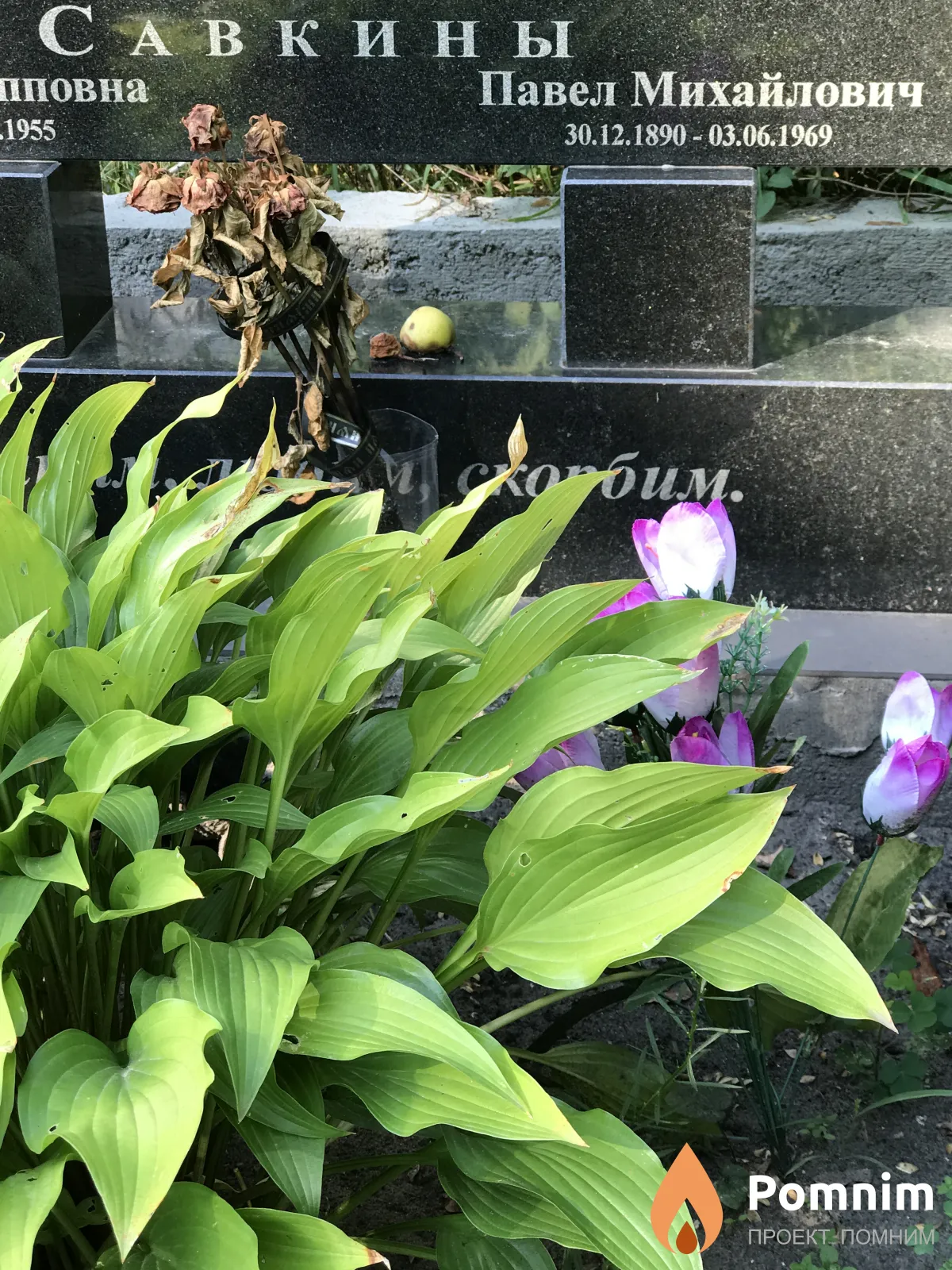 Савкин Павел Михайлович