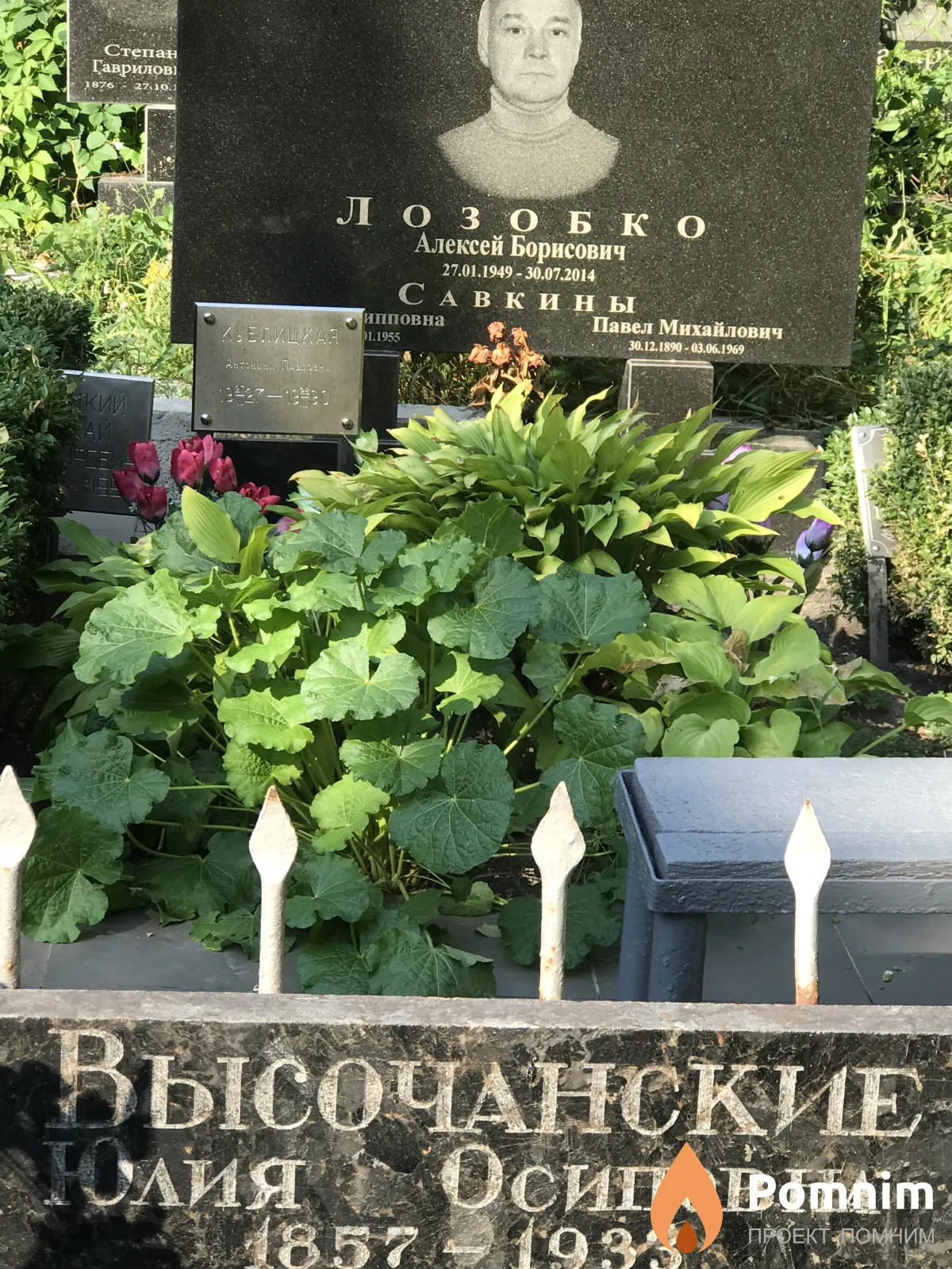 Высочанская Юлия Степановна