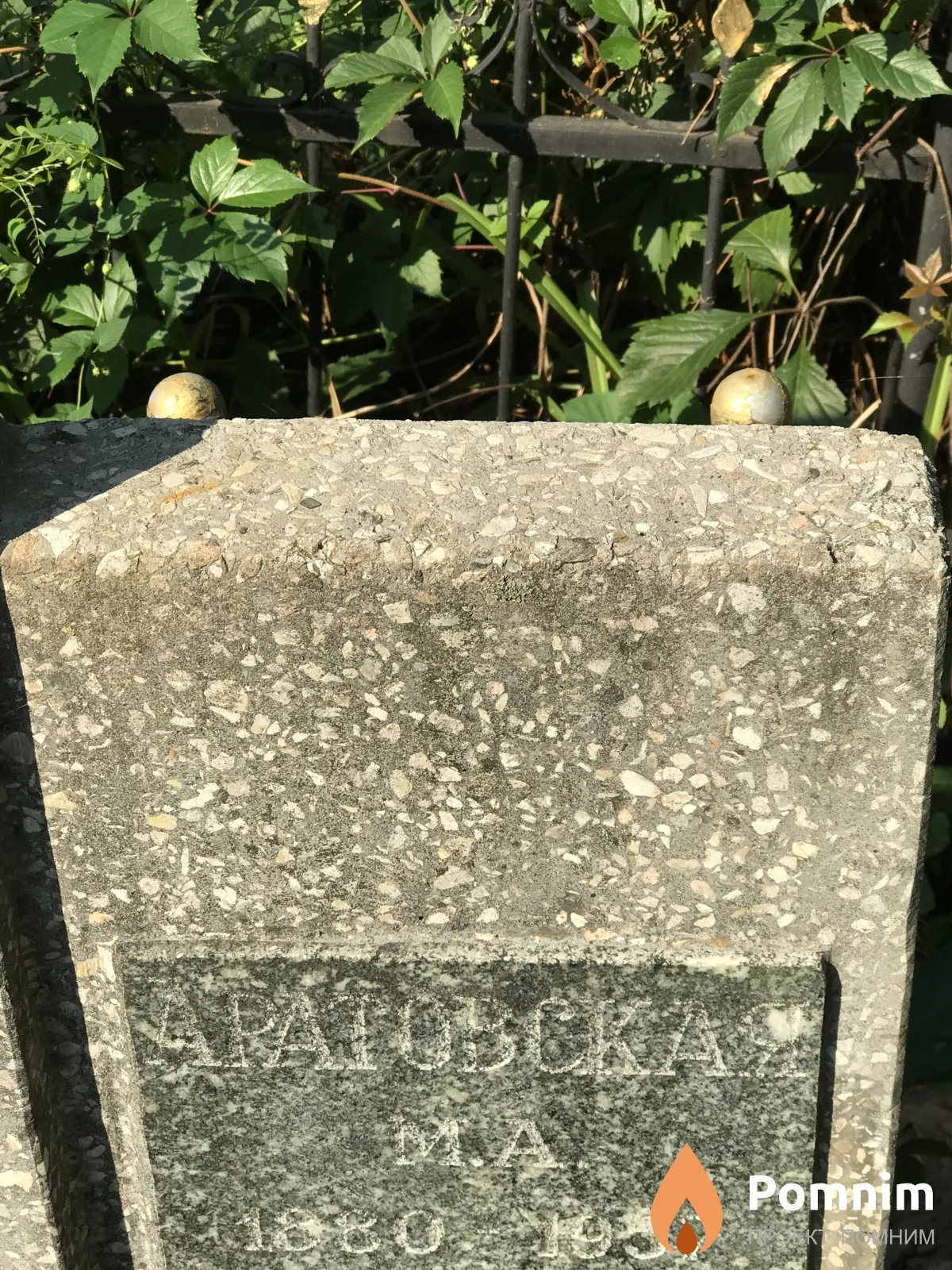 Аратовская М А
