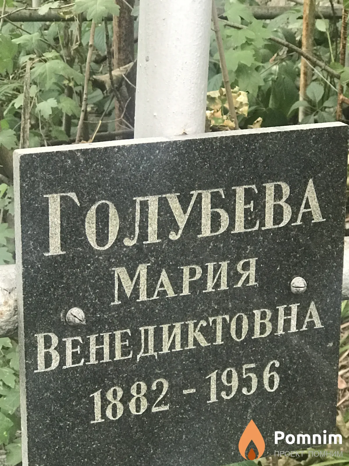 Голубева Мария Венедиктовна