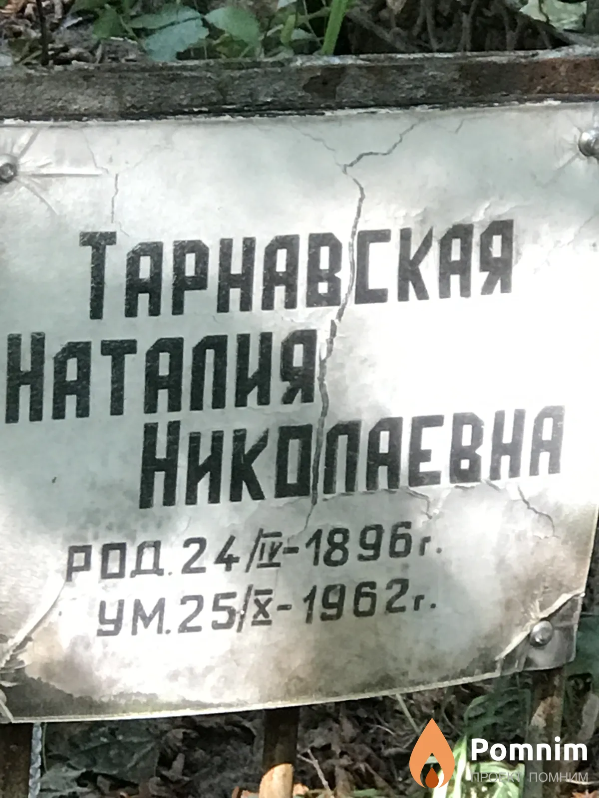 Тарнавская Наталия Николаевна