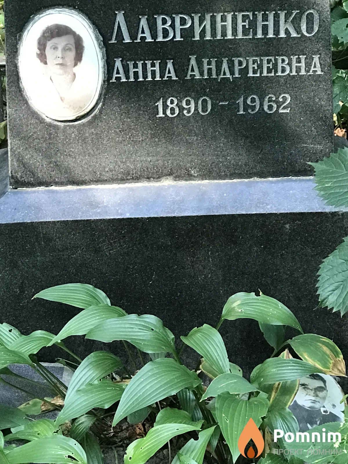 Лавриенко Анна Андреевна