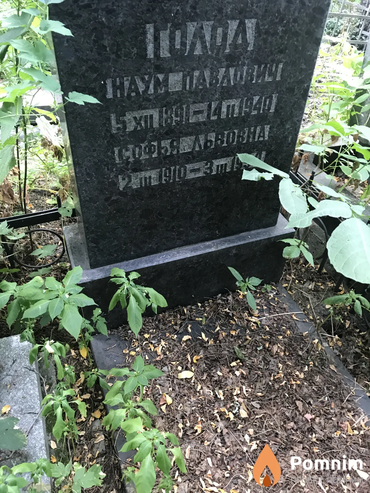 Голод Наум Павлович