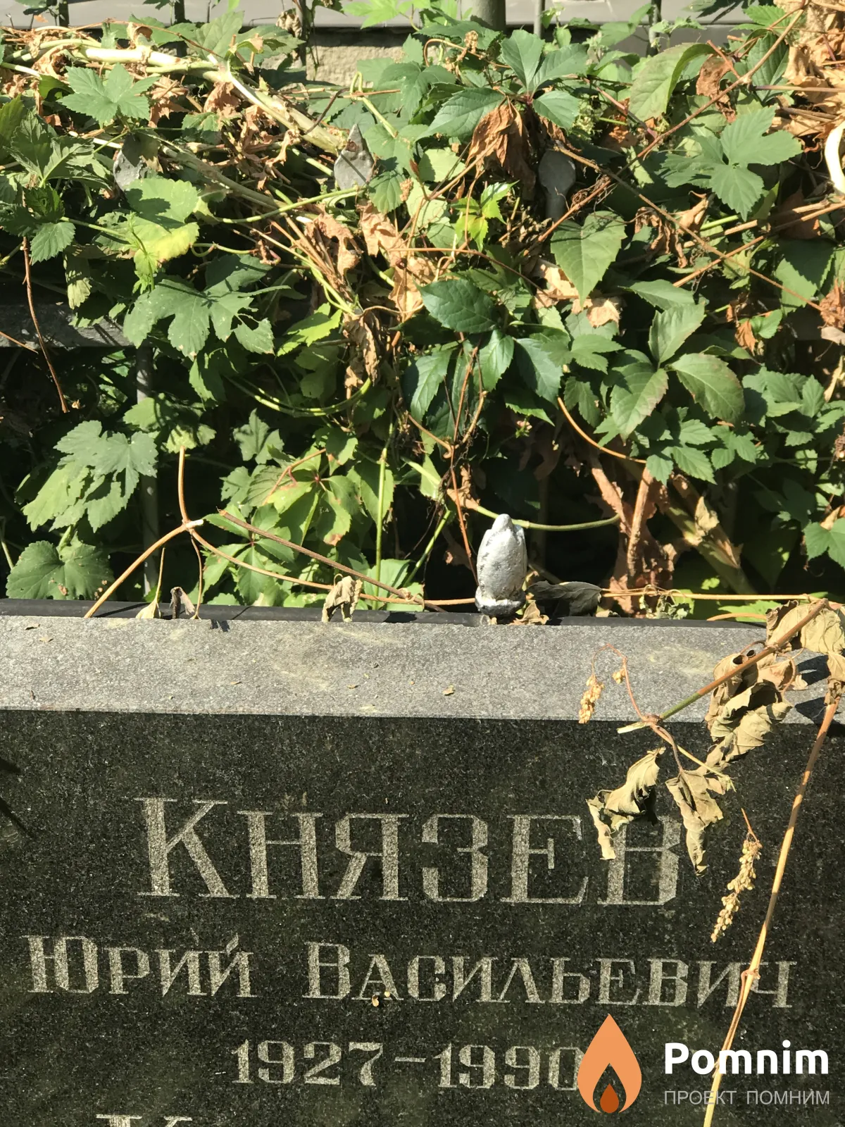 Князев Юрий Васильевич