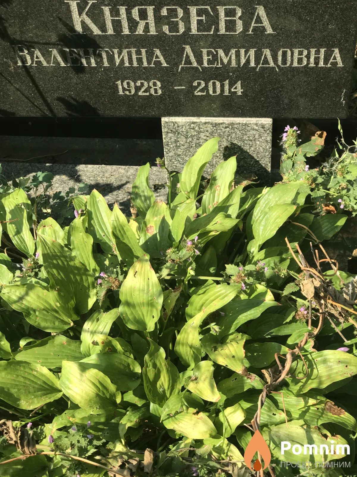 Князева Валентина Демидовна