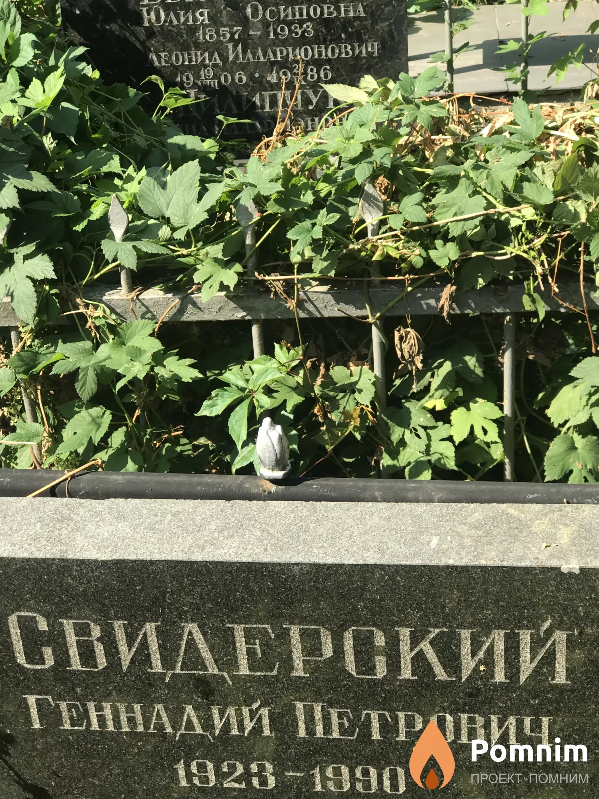 Свидерский Генадий Петрович