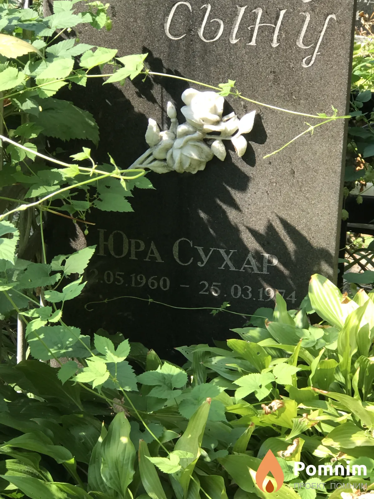 Сухар Юра