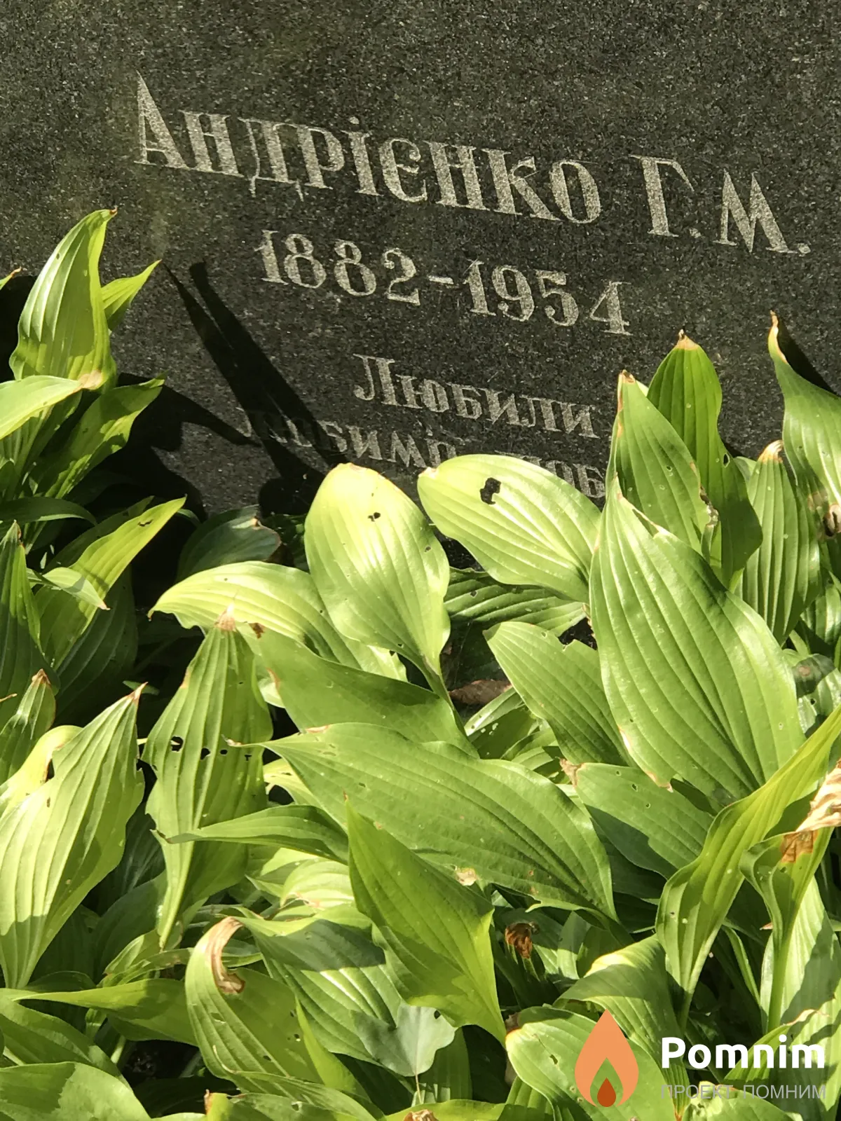 Андрієнко Г М