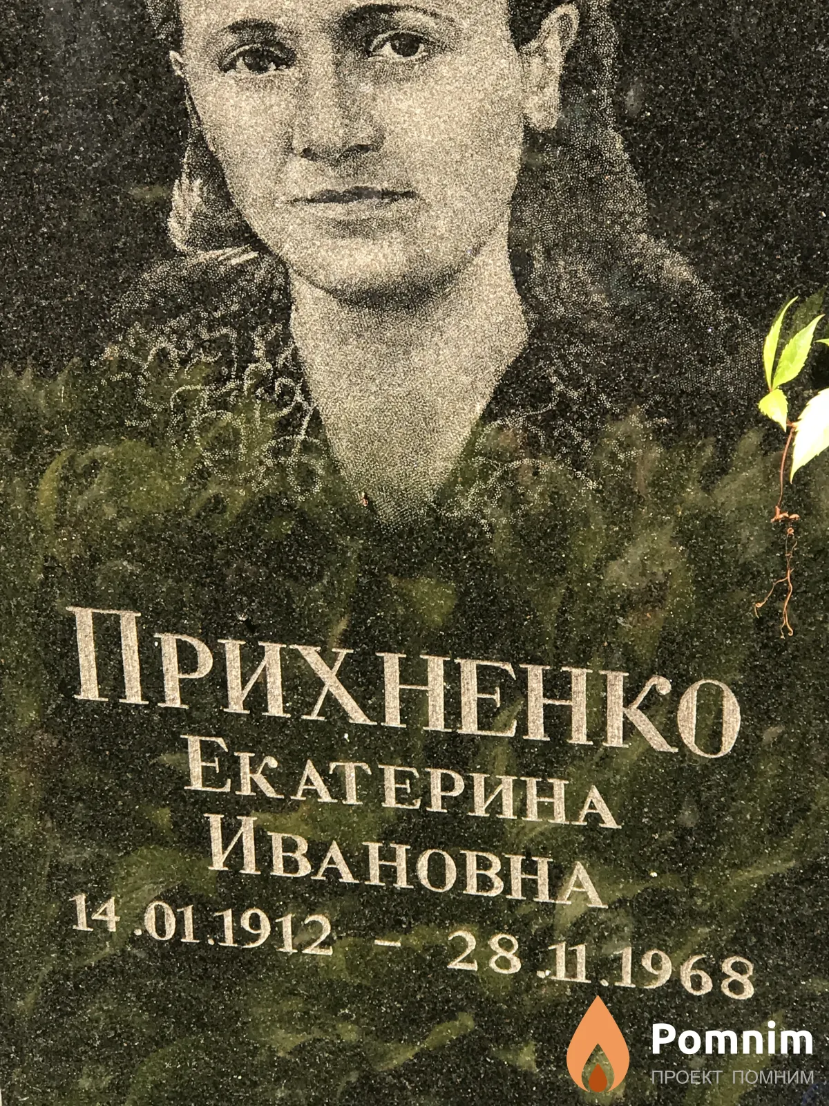 Прихненко Екатерина Ивановна