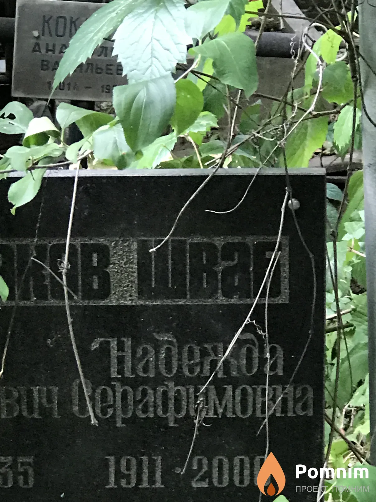 Шаваб Надежда Серафимовна