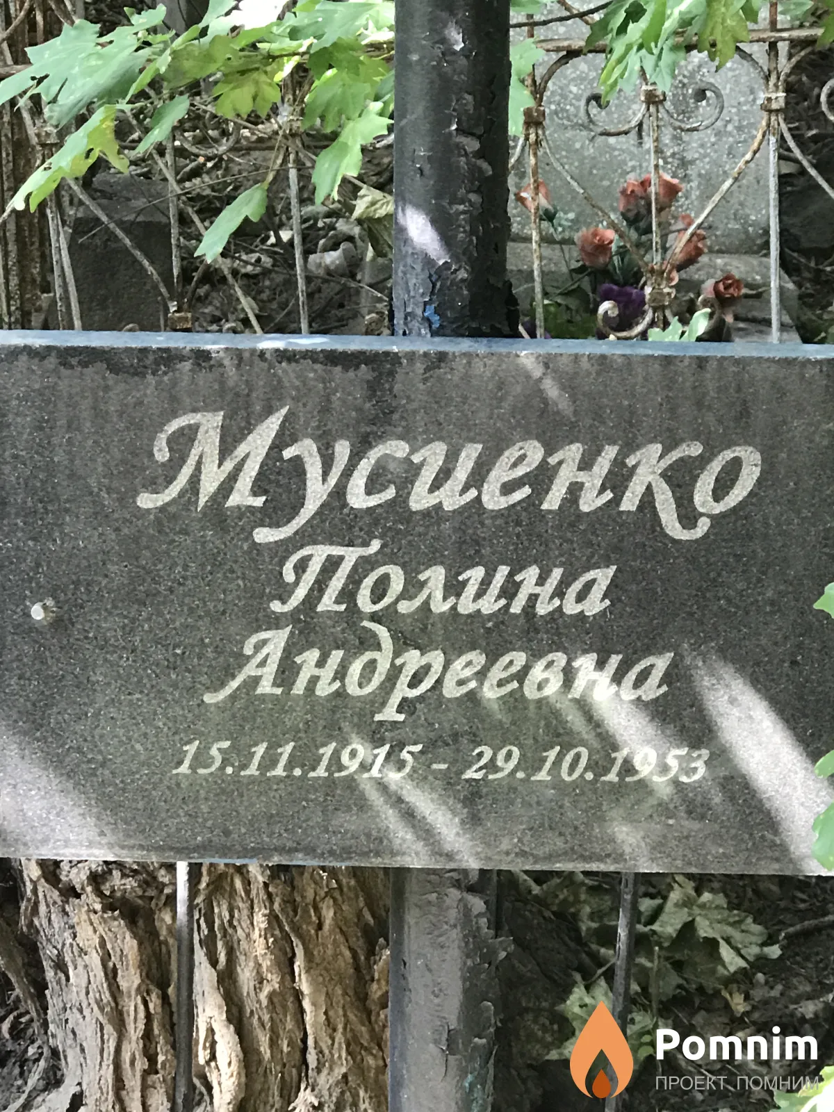 Мусиенко Полина Андреевна