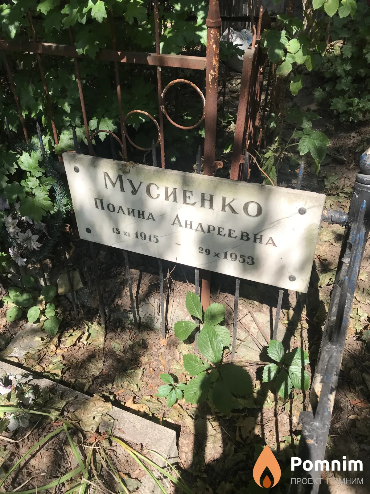 Мусиенко Полина Андреевна