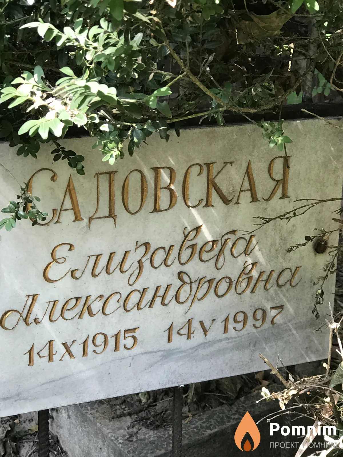 Садовская Елизавета Александровна